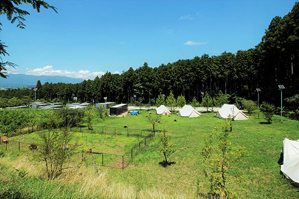 S-PARK（エス・パーク）